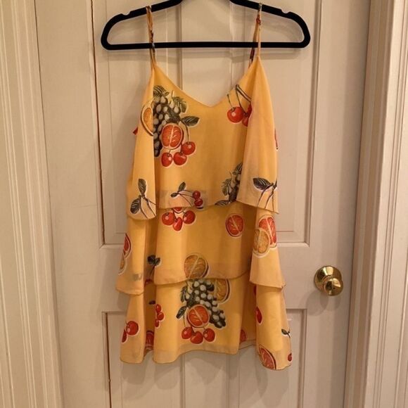 Show Me Your Mumu Suarez Ruffle Dress - Picture 5 of 5